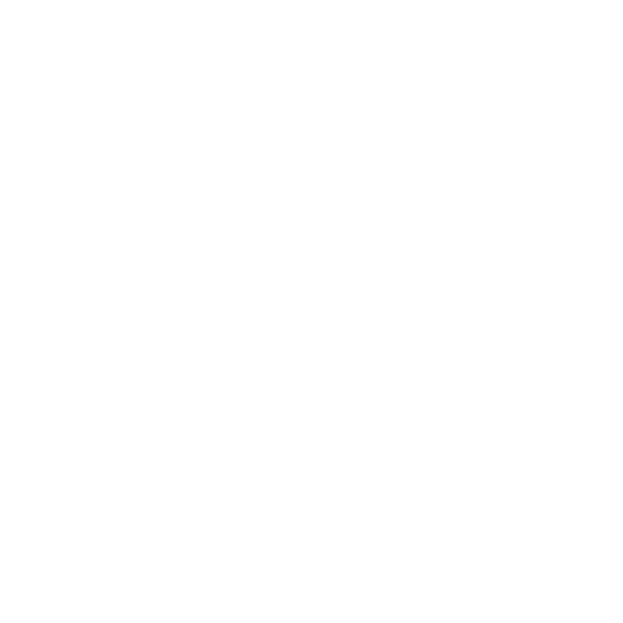 INSTITUTO EFETIVO